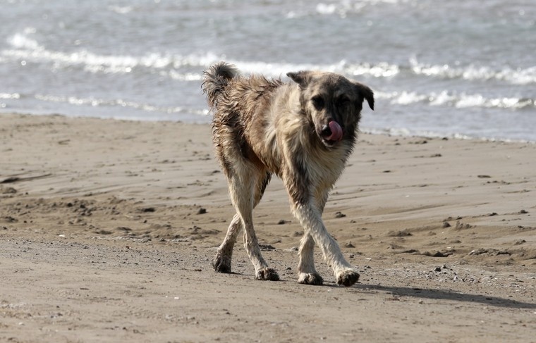    Алексей Белкин/NEWS.ru