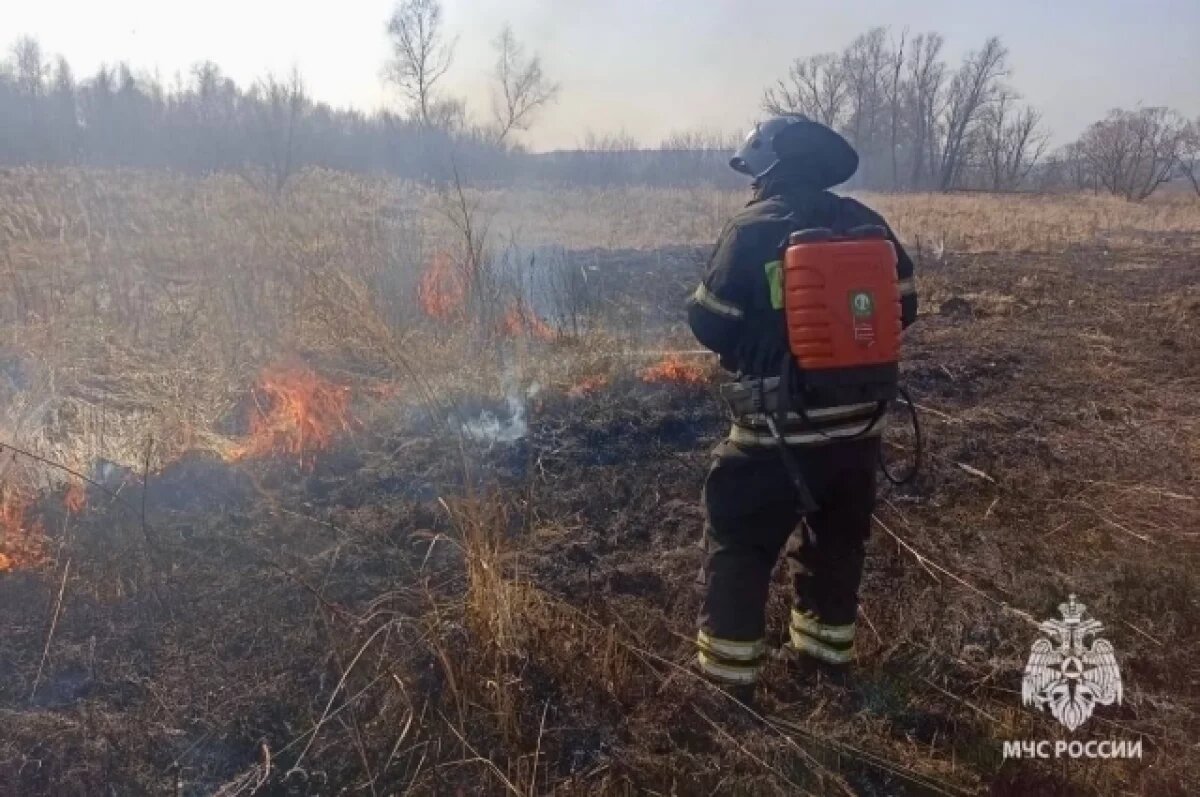    В Тульской области за сутки 17 раз горела сухая трава