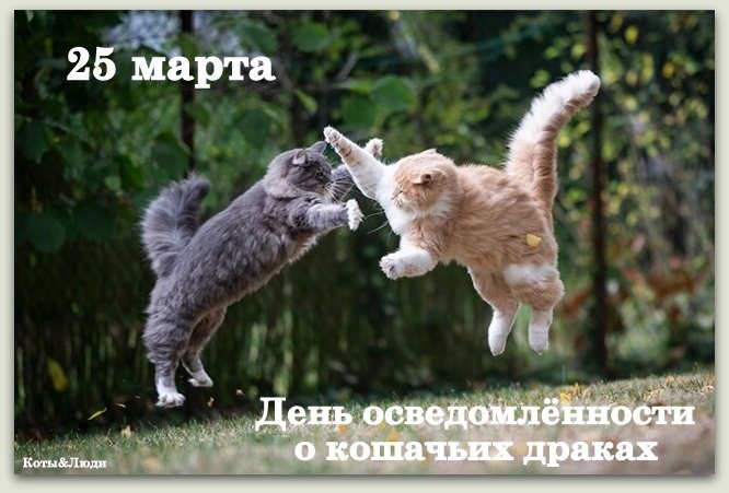 Коллаж автора