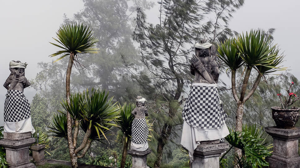 Фото: Виктор Кручинин / Коммерсантъ