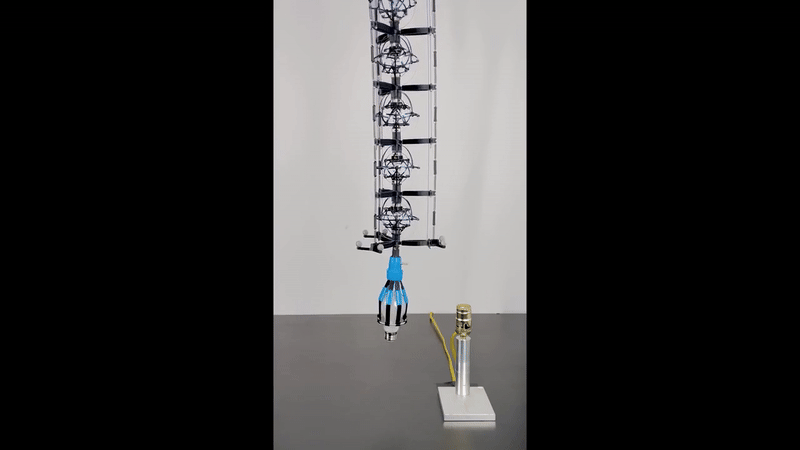 Источник: Science Robotics (2025). DOI: 10.1126/scirobotics.ads0548  📷
