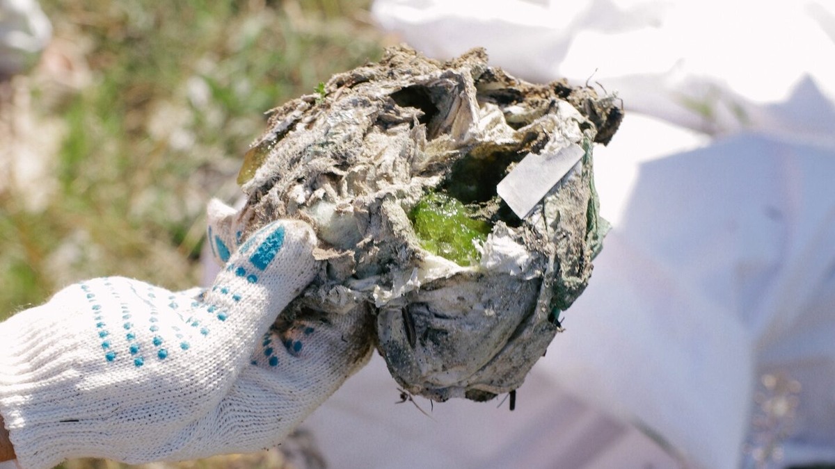    Фото: сообщество ВК «ДобронаБайкале.рф»