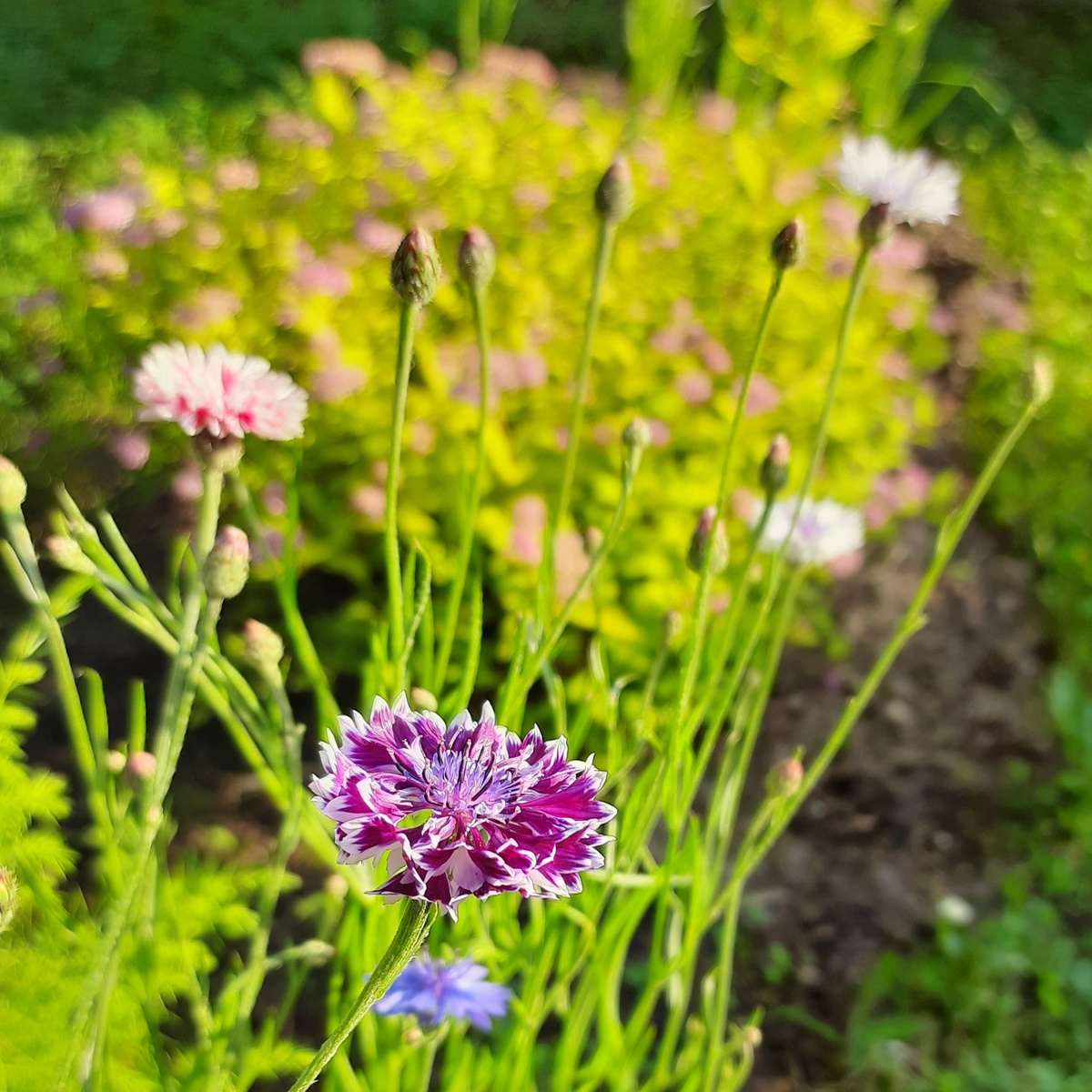 Если что-то происходит легко, свободно и просто, то человек на одной волне со Вселенной. 