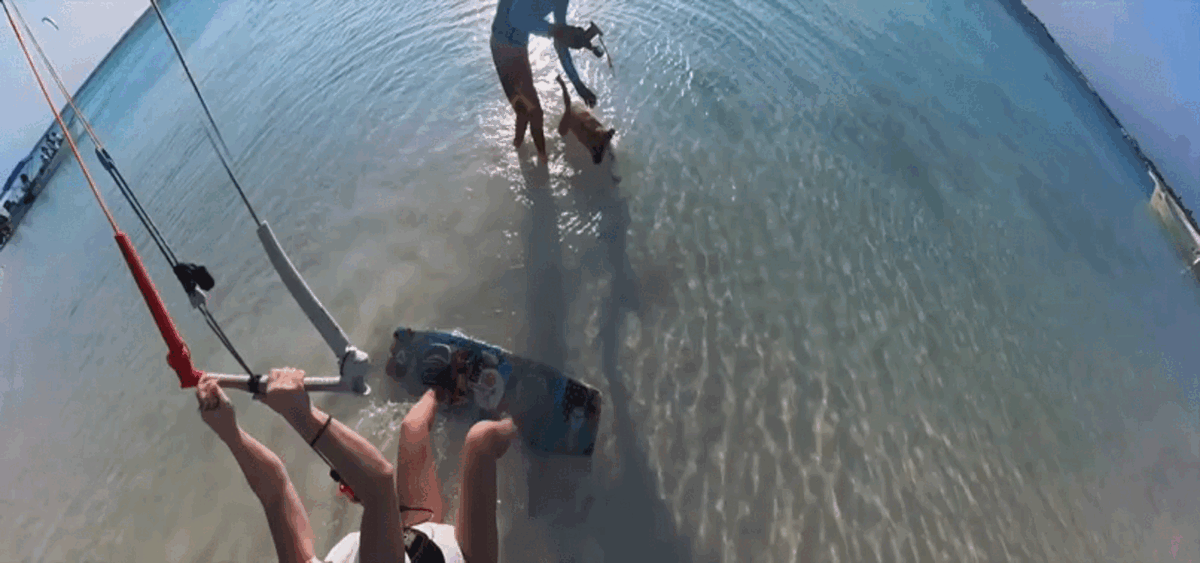 Она просто игралась!