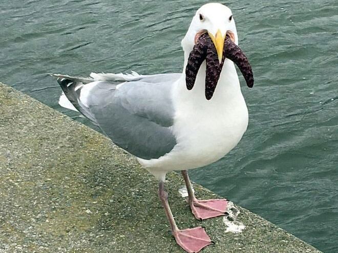 Источник ©reddit.com