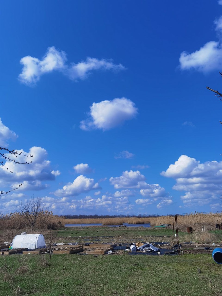 От этого вида покрываюсь мурашками. Сбывшаяся мечта воочию.