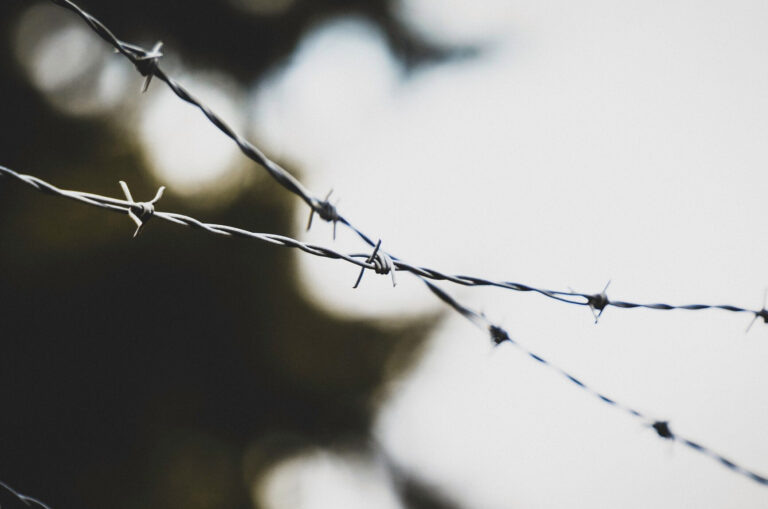    Фото: freepik.com/wirestock Ольга Чистова