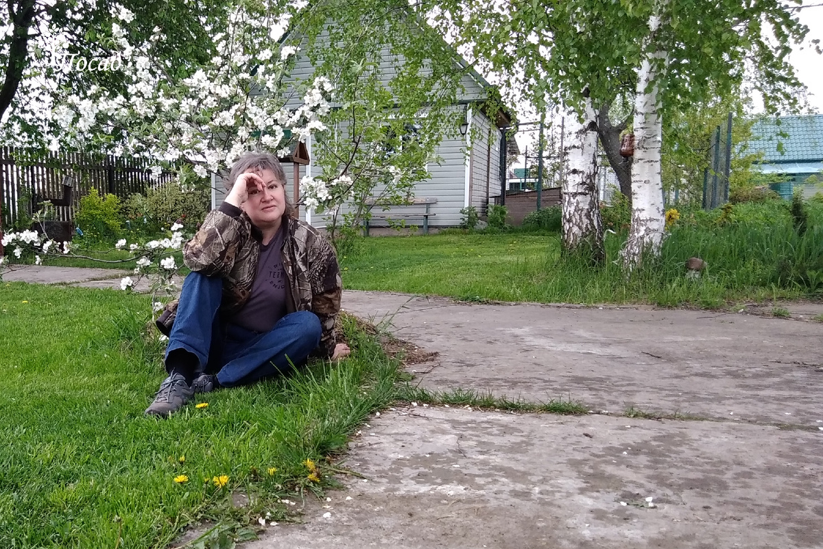 В думах о даче, вишнях и монилиозе.