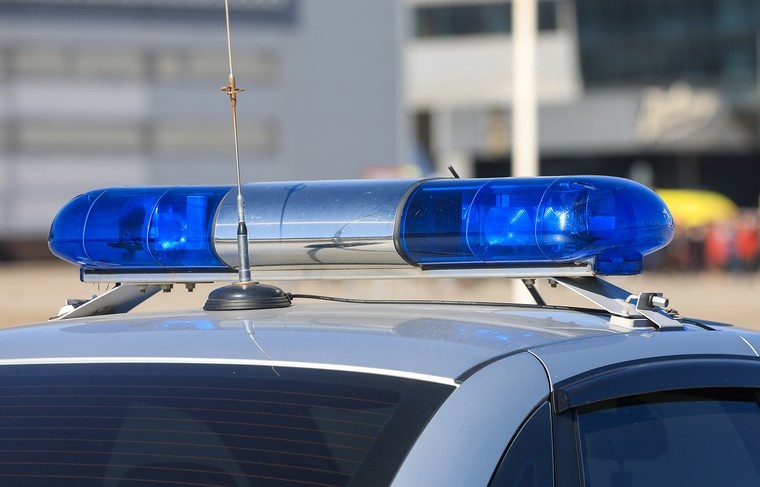    Наталья Шатохина/NEWS.ru