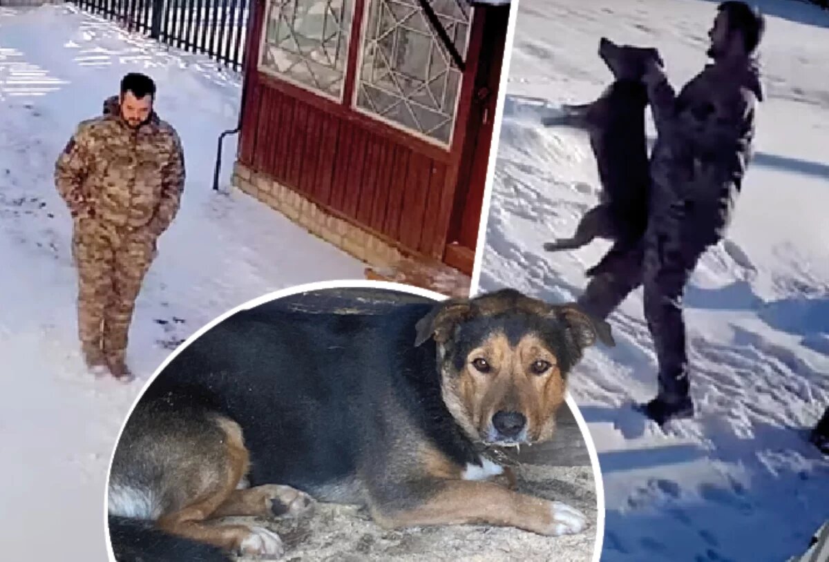    За забором не спрятаться?