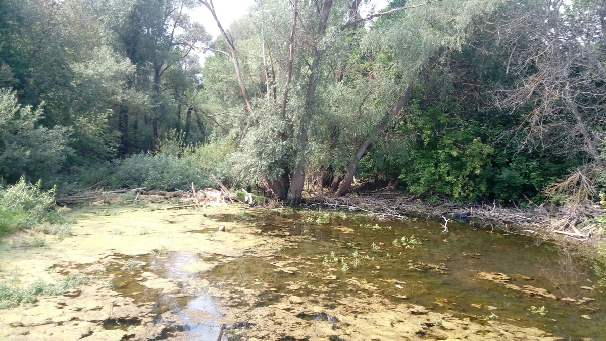 Фото автора.