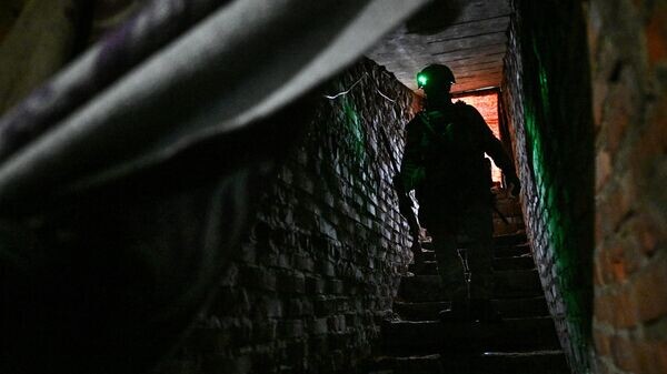    © Sputnik / Сергей Бобылев