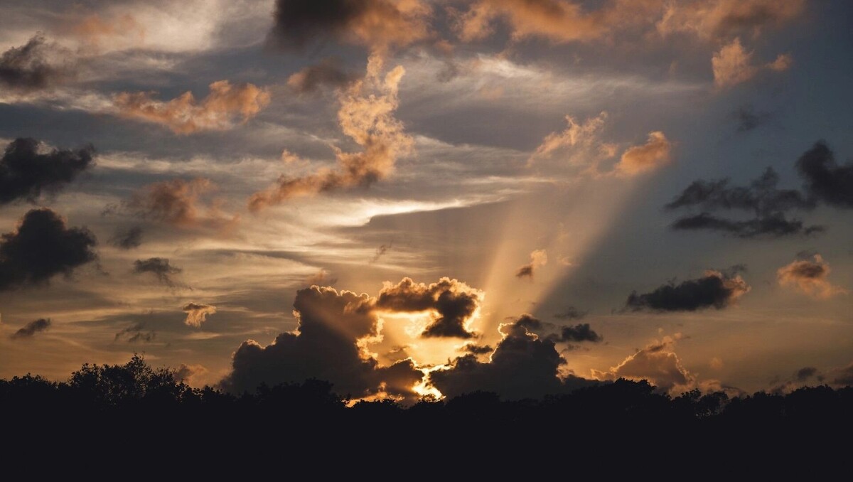     Автор: Unsplash