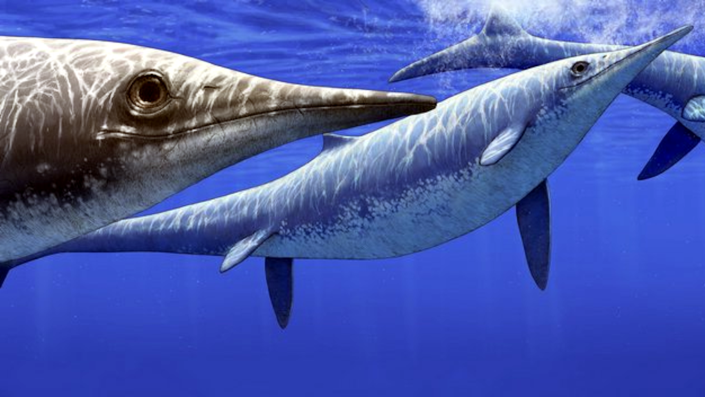 Вода диктует жёсткие условия. Похожими на рыб пришлось стать и ихтиозаврам...