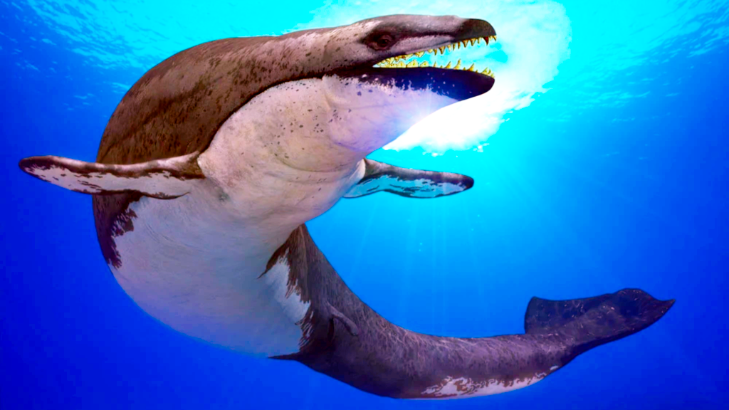 И, через десятки миллионов лет после них, китам.