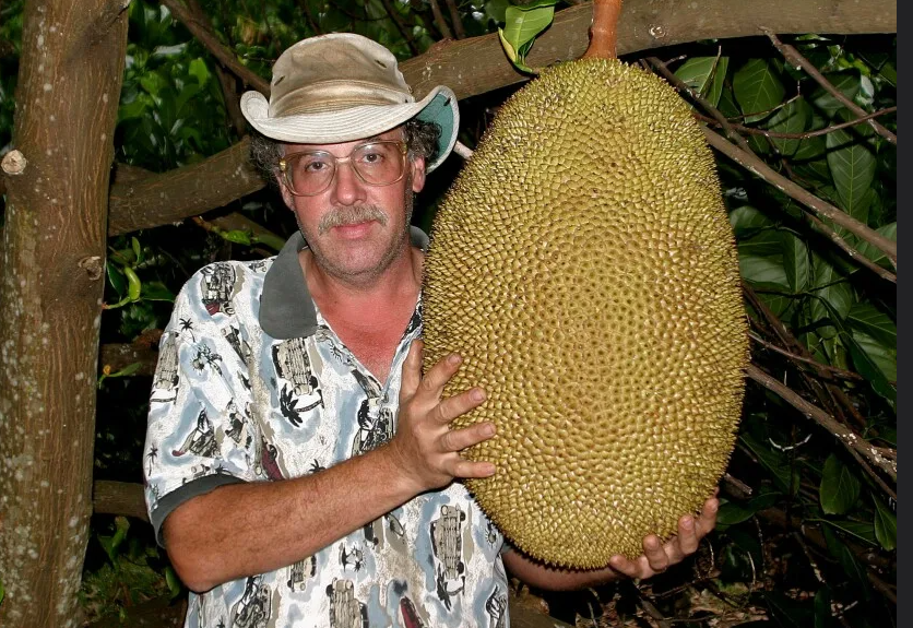 Какой-то мужик держит большой фрукт.