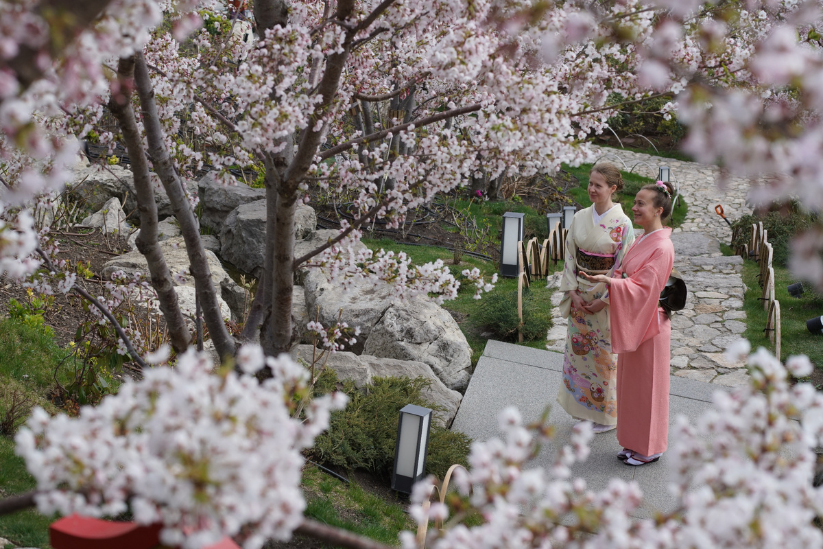 Сакура // Туристический портал Республики Крым, Виталий Еременко