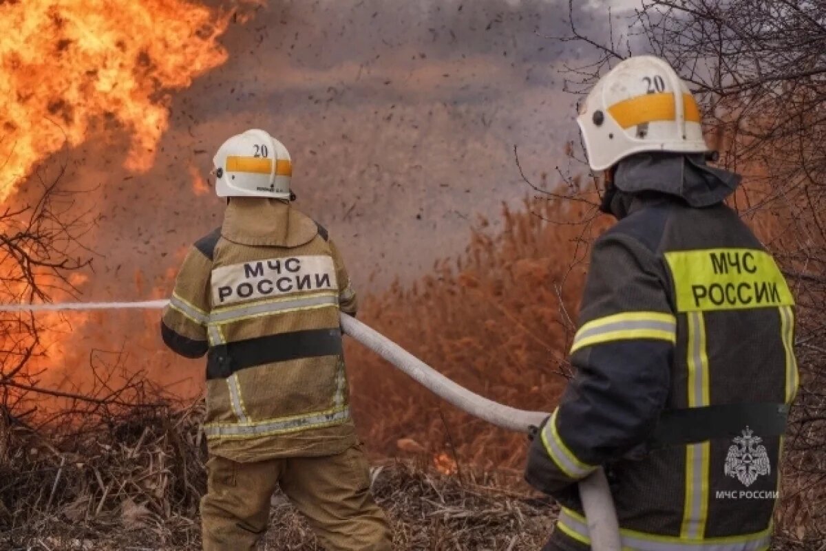    В Волгоградской области полыхают ландшафтные пожары