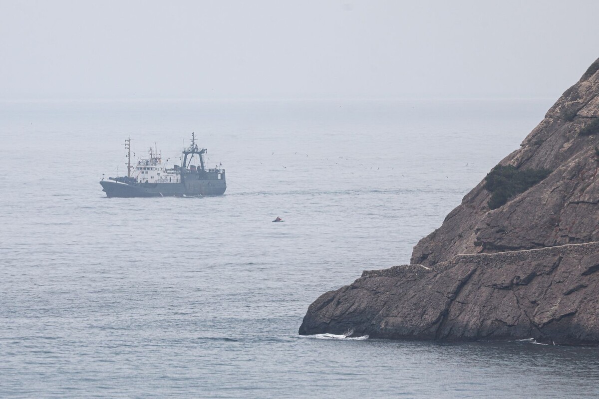     / Источник: © Андрей Рубцов/ТАСС