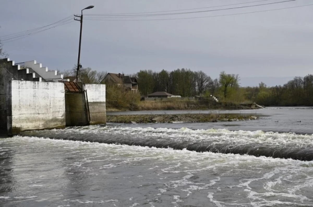    Русло реки Цны очистят в Тамбове