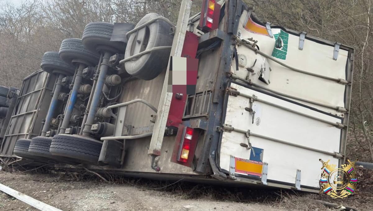    Фото t.me/gibdd123region