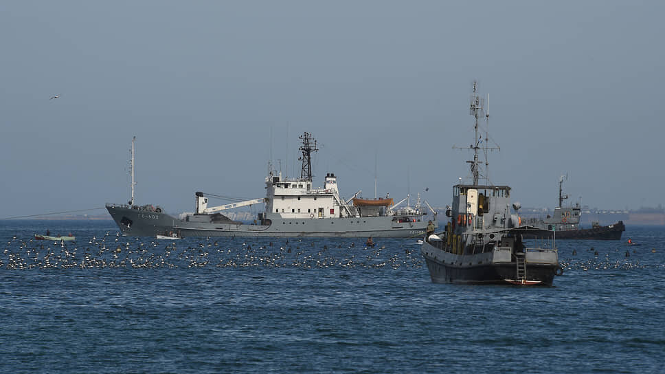 Фото: Виктор Коротаев / Коммерсантъ