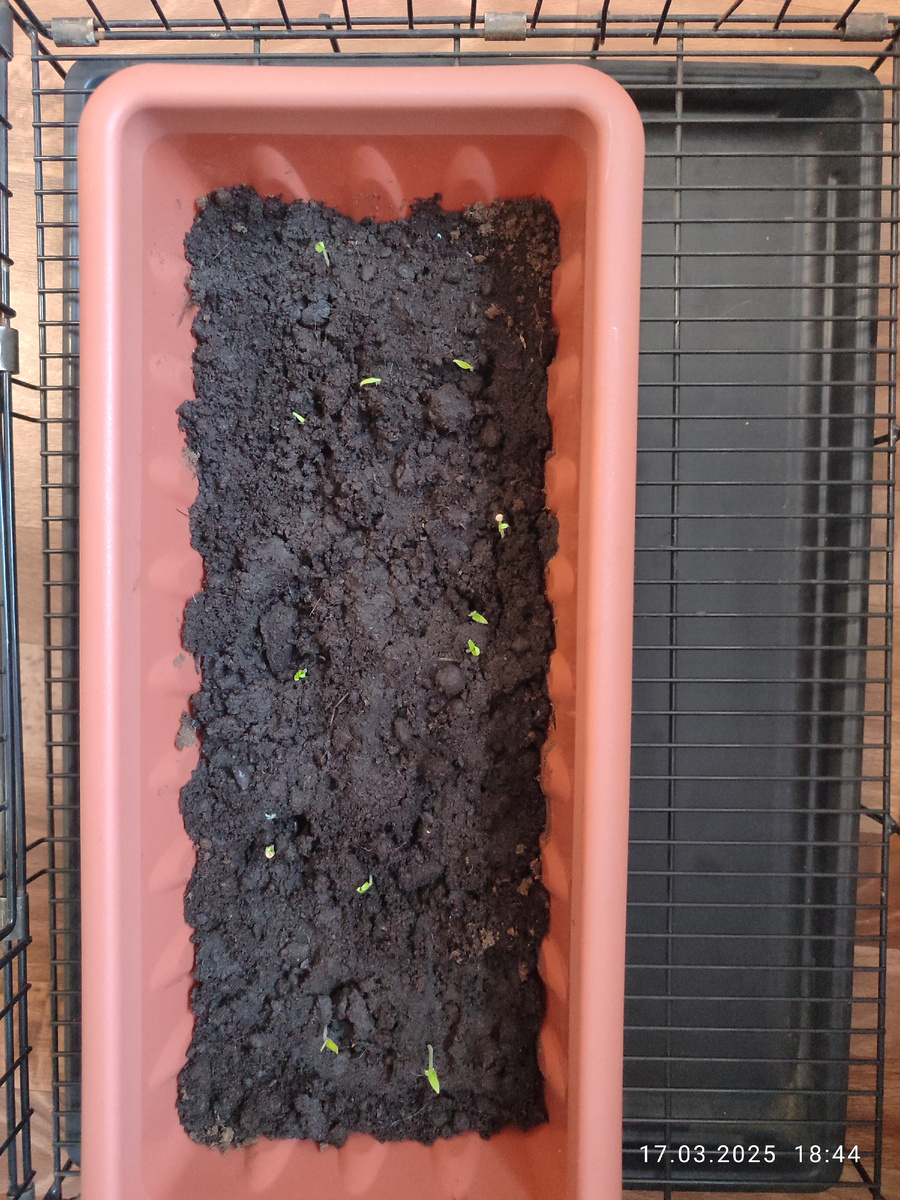 А тут хоба! уже двенадцать