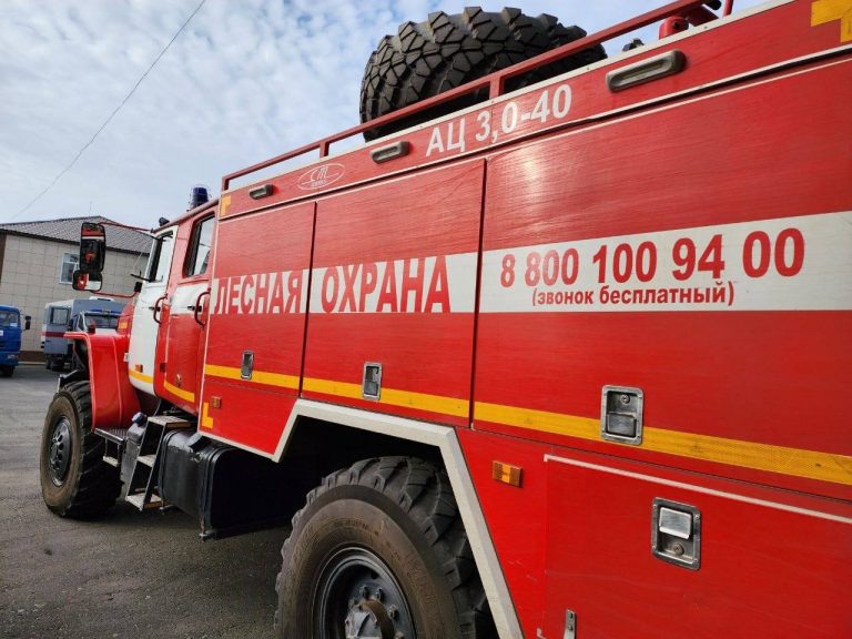    В лесах Оренбуржья объявили пожароопасный сезон Оренбуржье