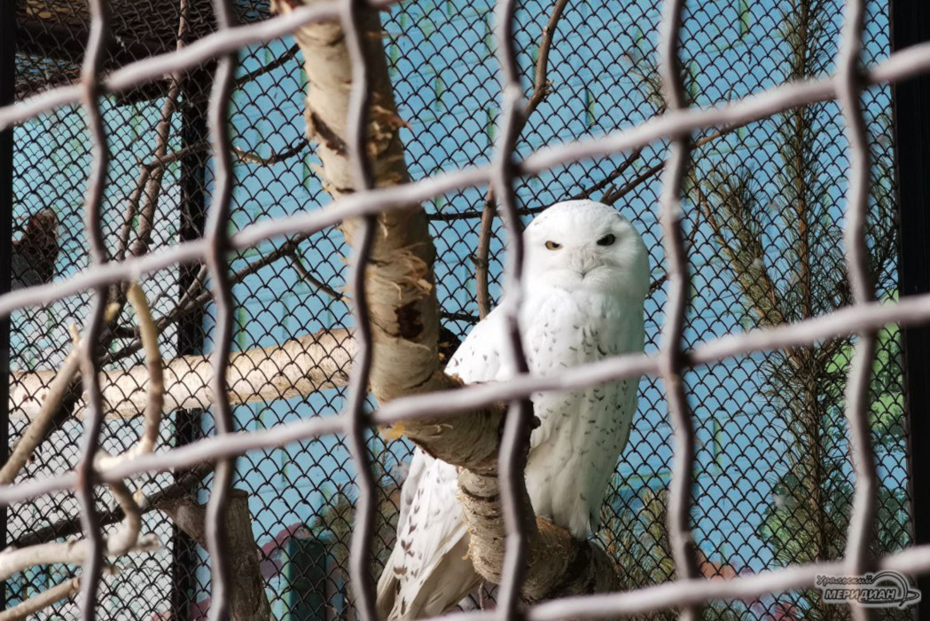    Фото: Ксения Жигалова © ИА «Уральский меридиан»