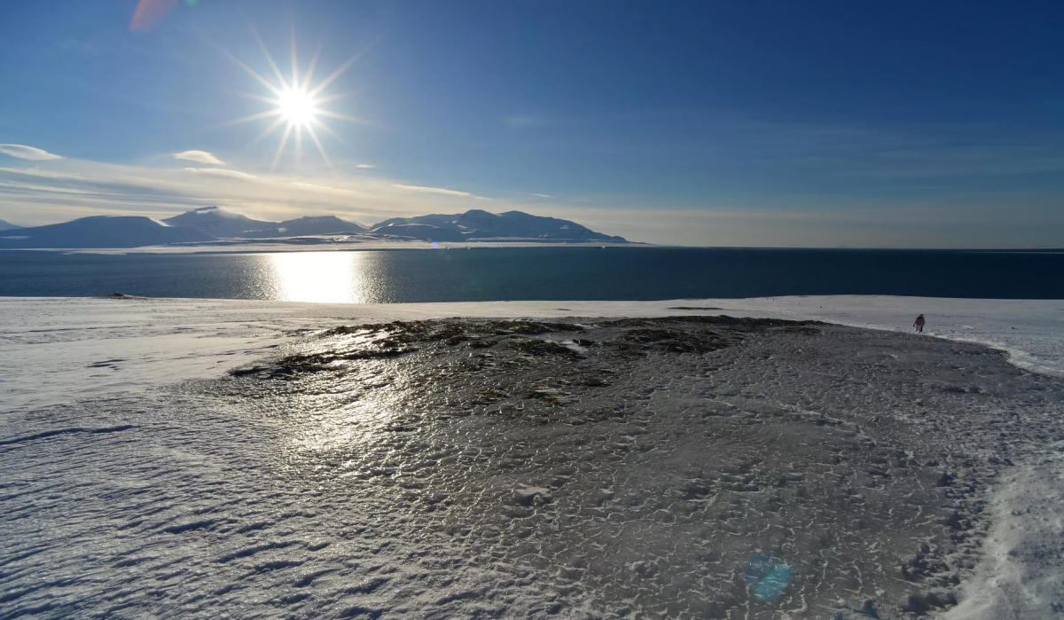     Вид на Северный Ледовитый океан с архипелага Шпицберген. Источник: © РИА Новости Автор фото: Александр Ковалев