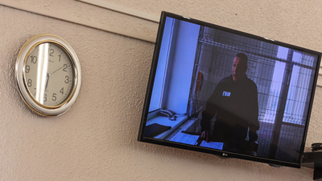    Фото: Belkin Alexey/news.ru/Globallookpress