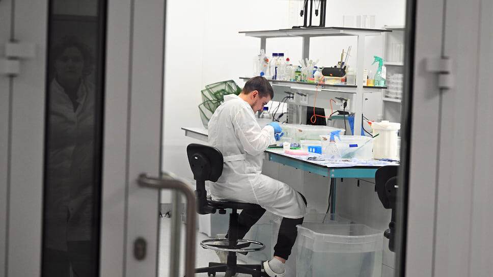 Фото: Евгений Разумный / Коммерсантъ