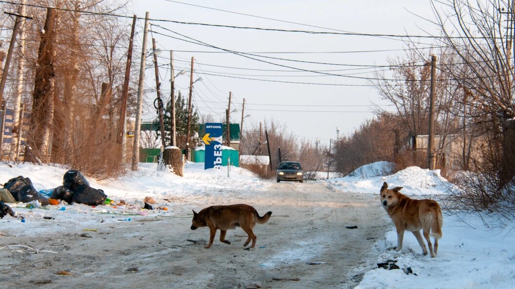    фото: Svetlana Vozmilova/Global Look Press