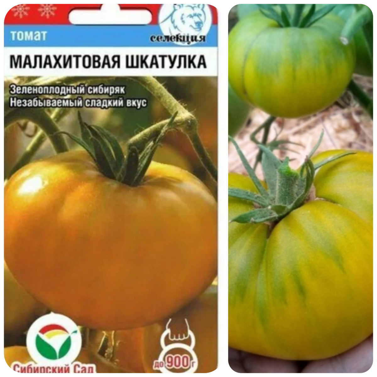 коллаж автора статьи