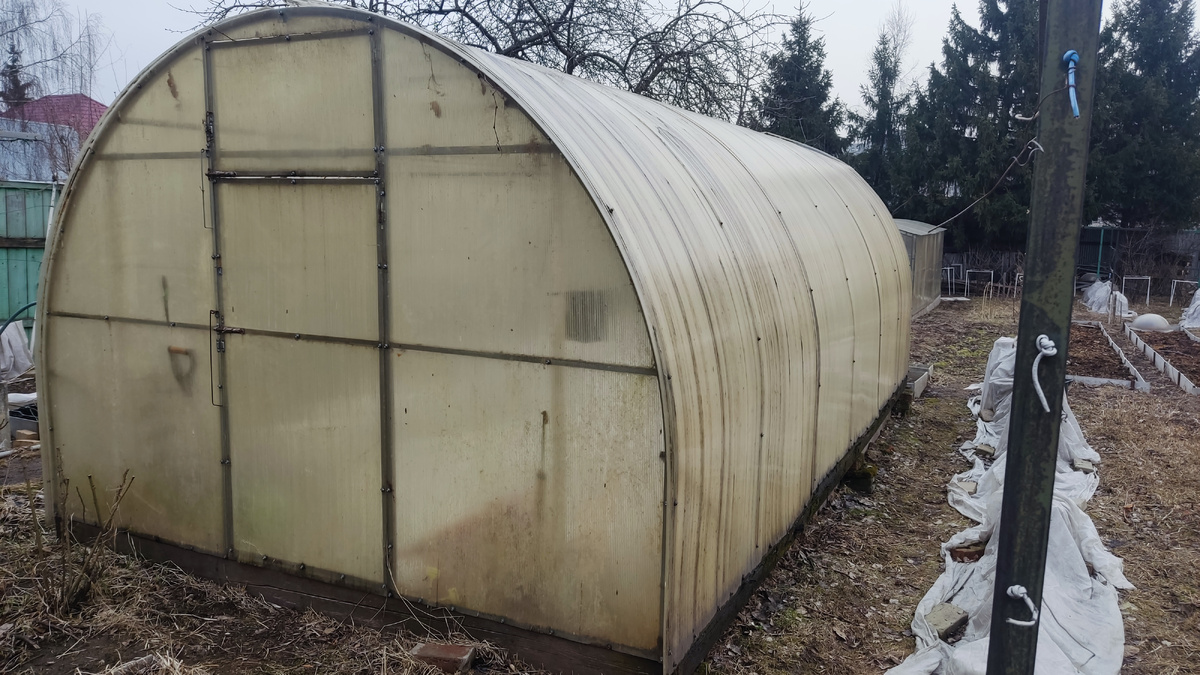 Поликарбонатная теплица 3х6 м на даче