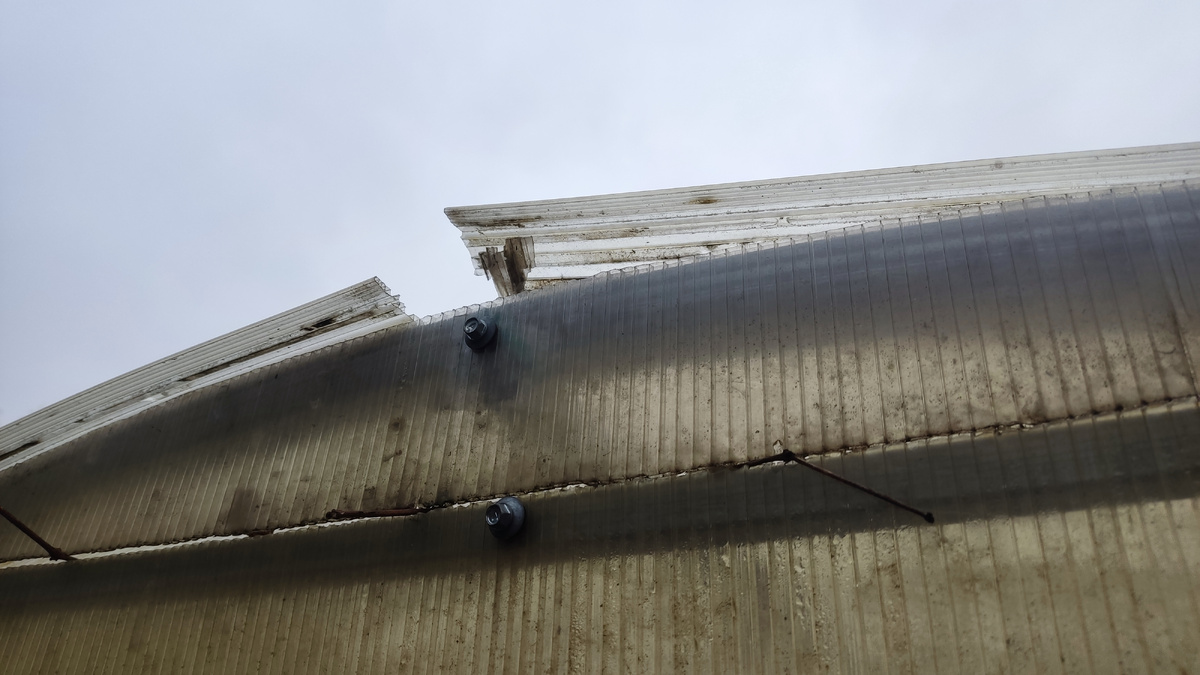 Каждые 3-5 лет нужно менять поликарбонат на теплице