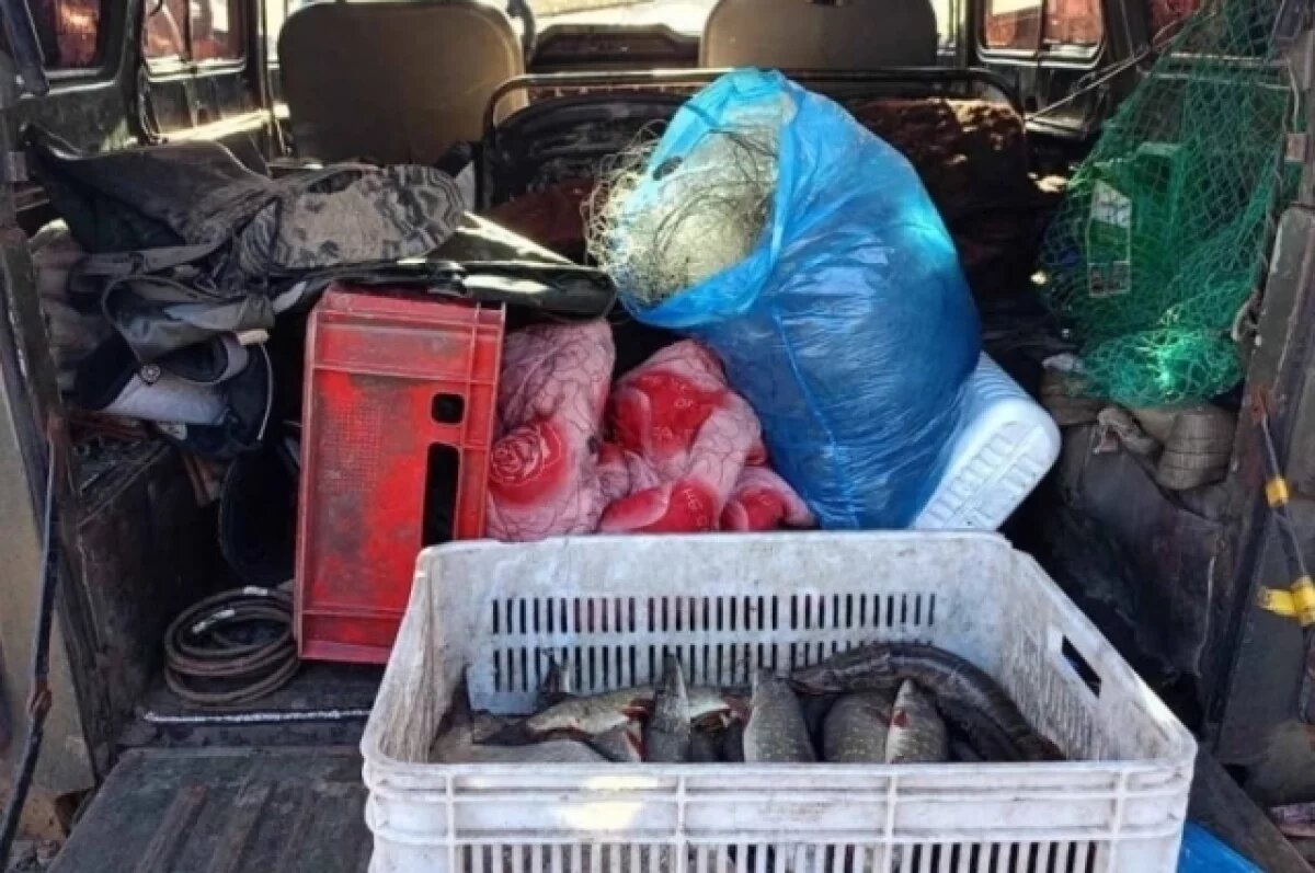    Димитровградец ловил рыбу сетью и попал под уголовное дело