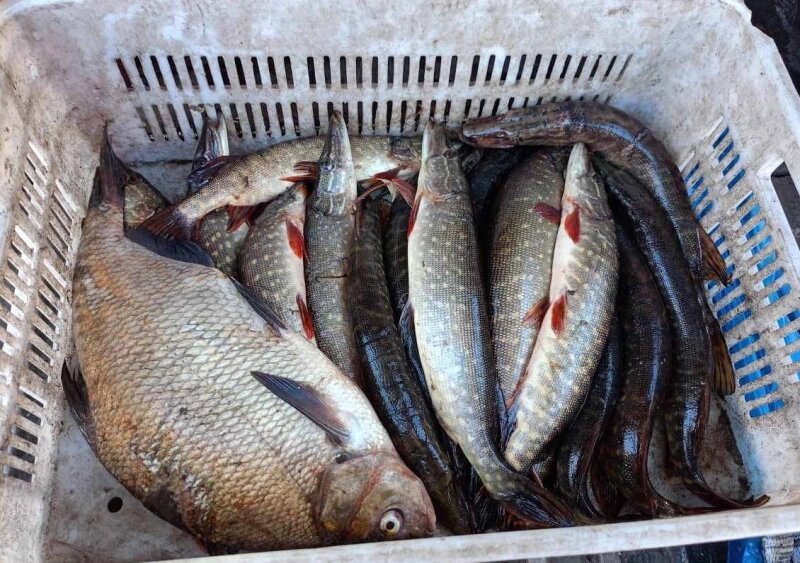    Фото: УМВД по Ульяновской области