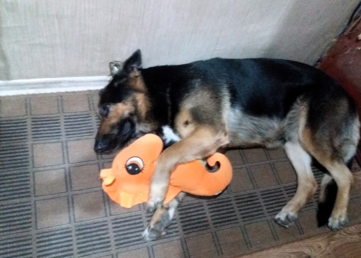 Фото автора