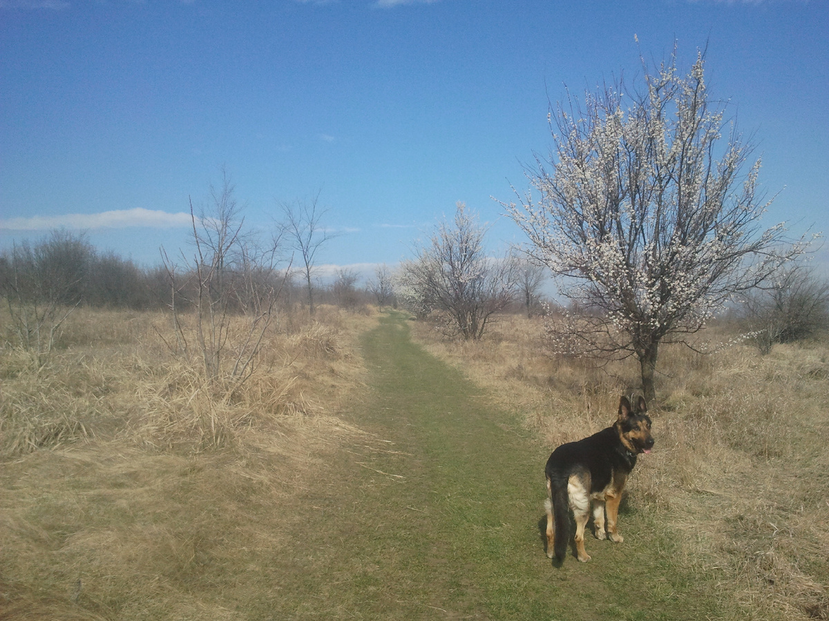 Фото автора