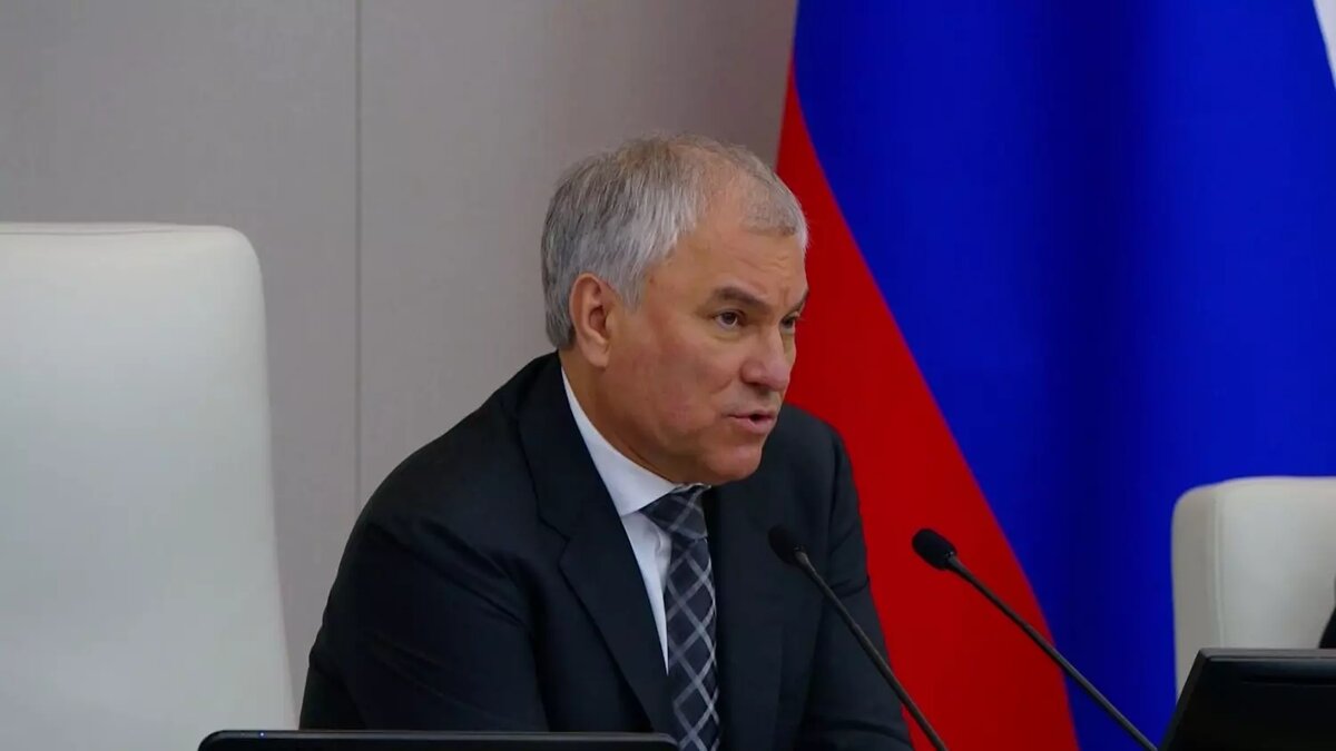 Спикер Госдумы призвал депутатов принять закон о противодействии кибермошенникам. Фото: Вячеслав Володин
