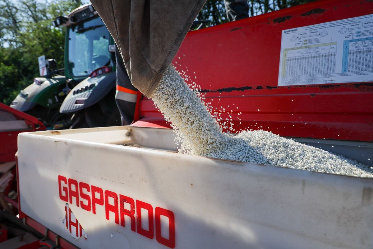     / Источник: © Эрик Романенко/ТАСС