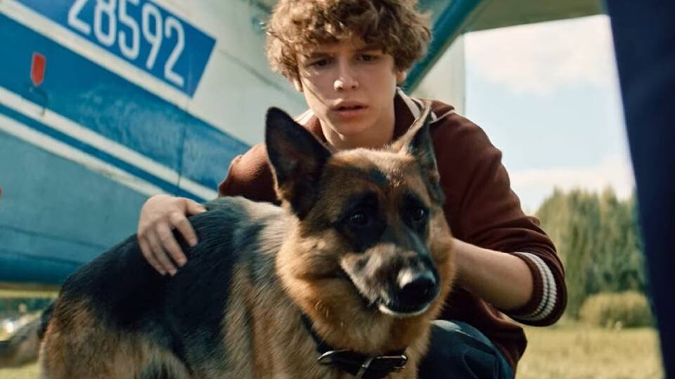 Кадр из фильма "Пальма 2". Фото Яндекс.Картинки. 