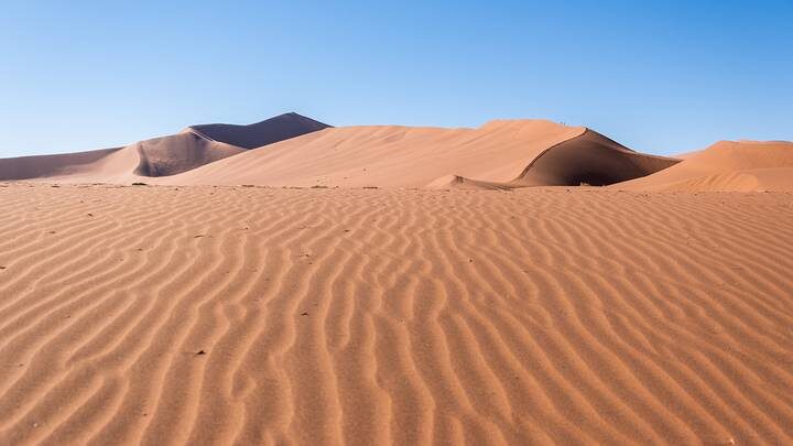  Фото: shutterstock