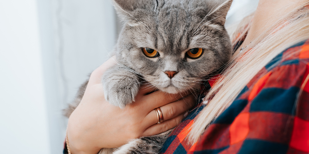 «Сюрприз» от бывшего