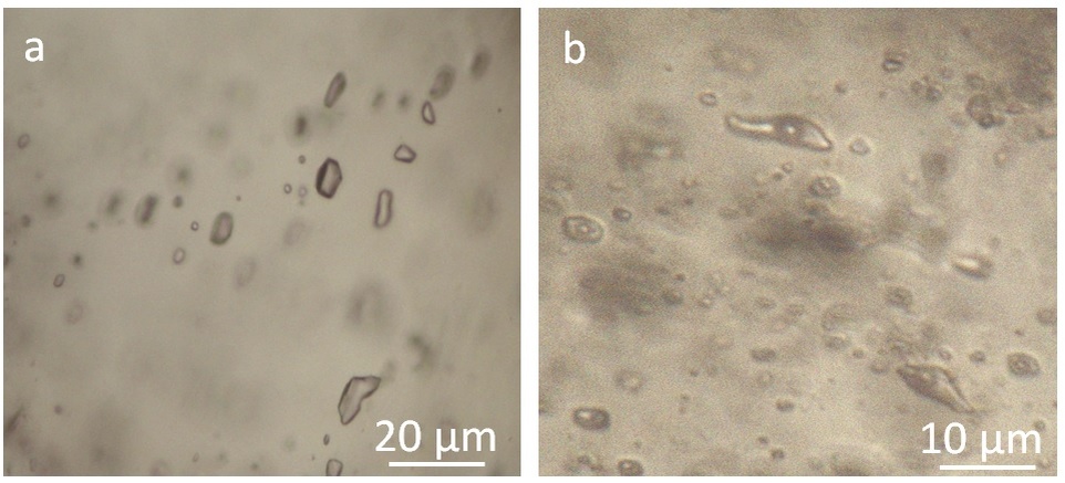 Флюидные включения в кварце из месторождения золота Кондуяк. Источник: Elena Shaparenko et al. / Minerals, 2025