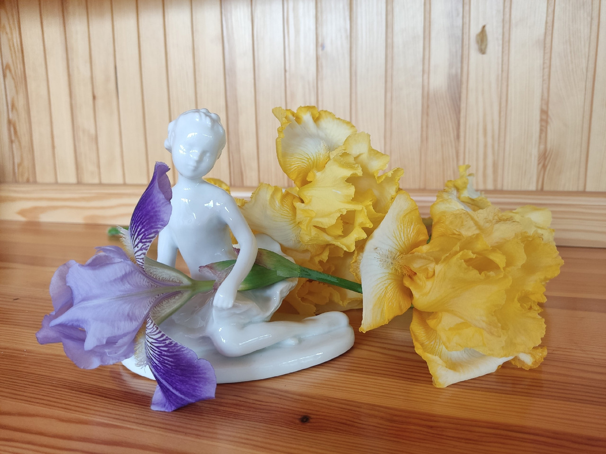 Юная балерина Дашенька