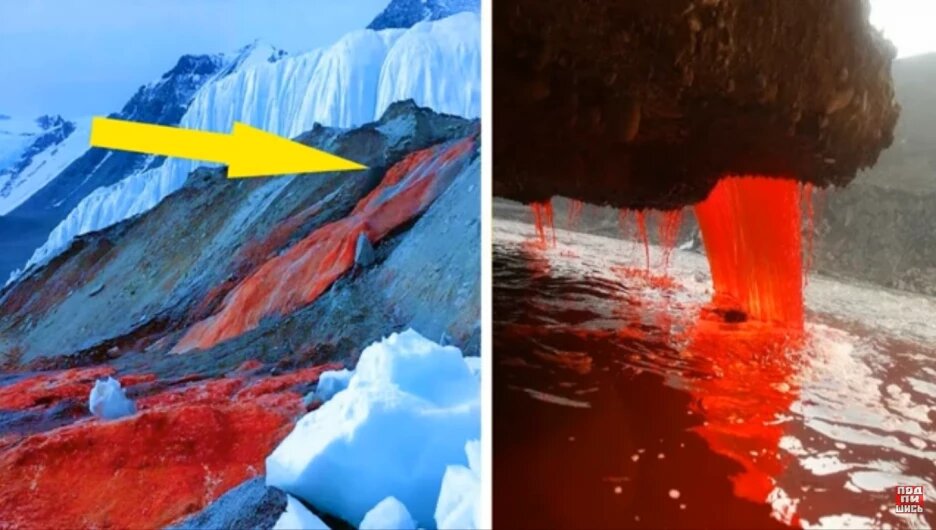 изображение взято с сайта 22.rodina.news