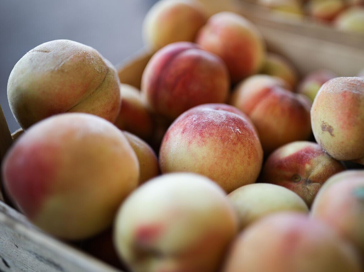    Персики © РИА Новости / Виталий Тимкив