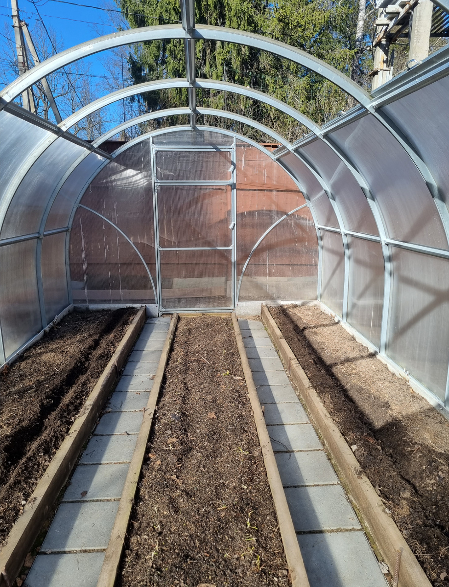 Фото автора. Весна 2025.